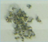 智博足球官网入口1919hrceluebbs