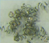 智博足球官网入口1919hrceluebbs