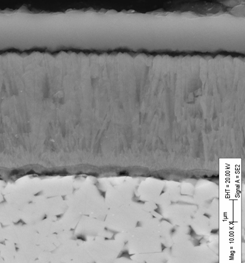 智博足球官网入口1919hrceluebbs
