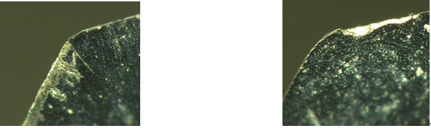 智博足球官网入口1919hrceluebbs