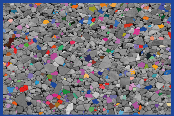 智博足球官网入口1919hrceluebbs