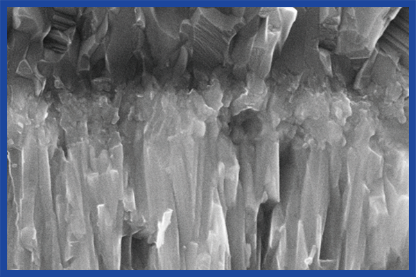 智博足球官网入口1919hrceluebbs