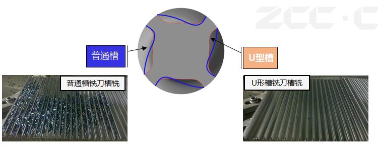 智博足球官网入口1919hrceluebbs