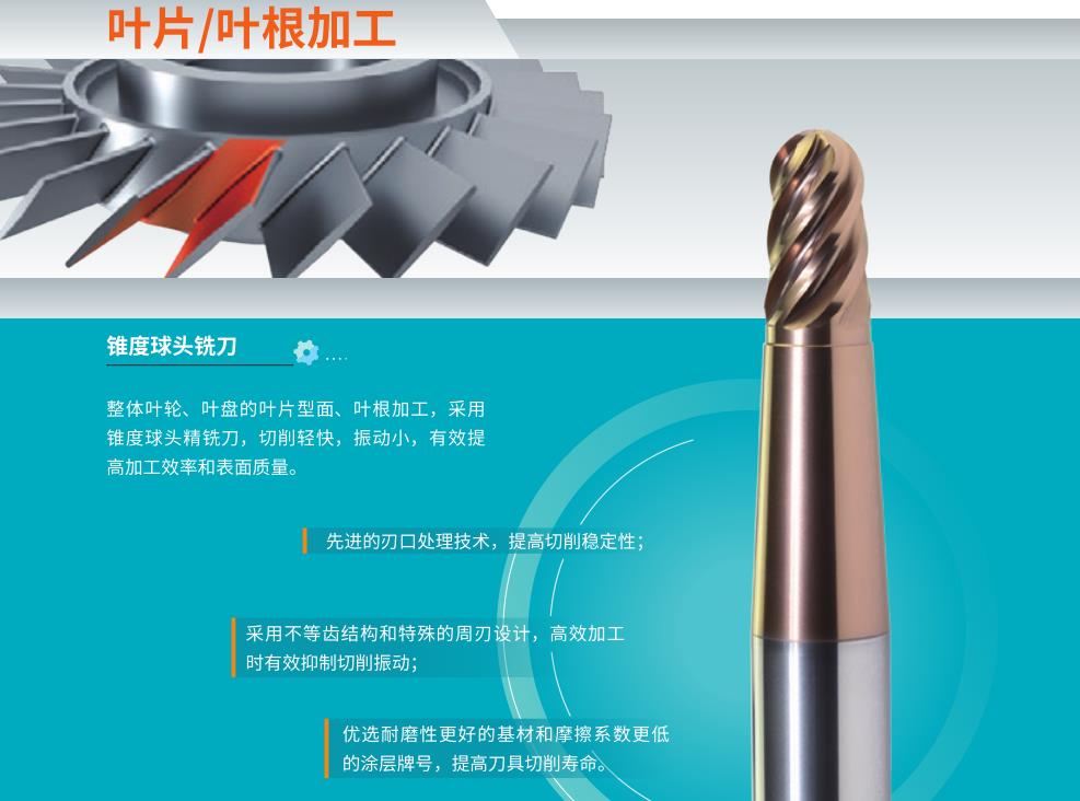 智博足球官网入口1919hrceluebbs