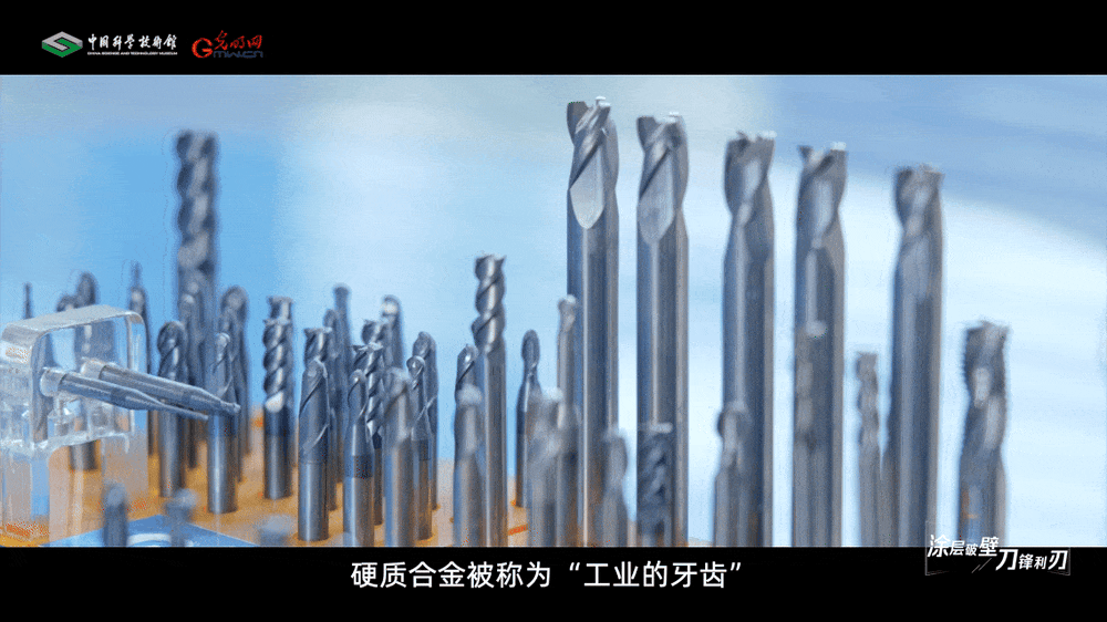 智博足球官网入口1919hrceluebbs